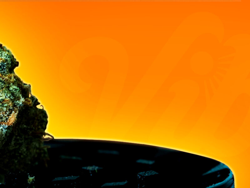 cannabis-vibe-by-california