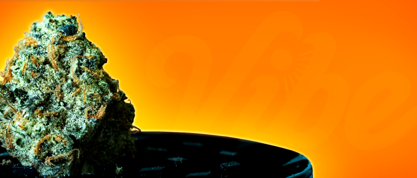 Popular Cannabis Strains in Ukiah, CA: A Guide to Local Favorites at Vibe By California