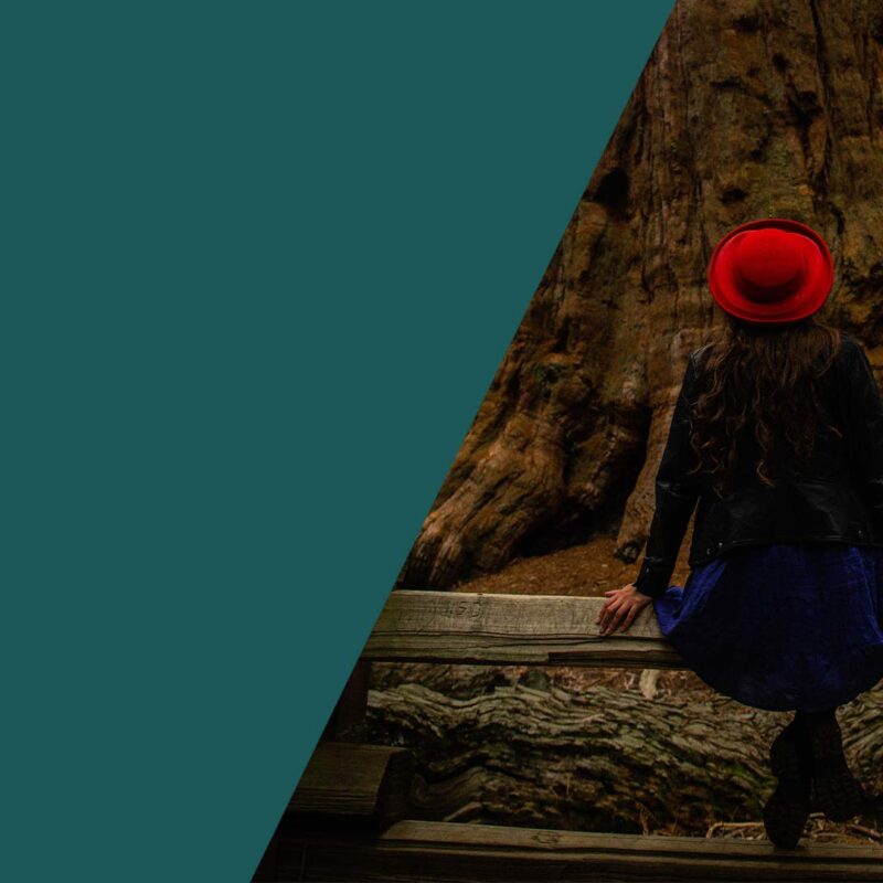 Ukiah-cannabis-dispensary-vibe-by-california