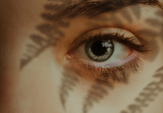 folsom-street-fair-2022-cannabis-lounge-by-vibe-dispensary