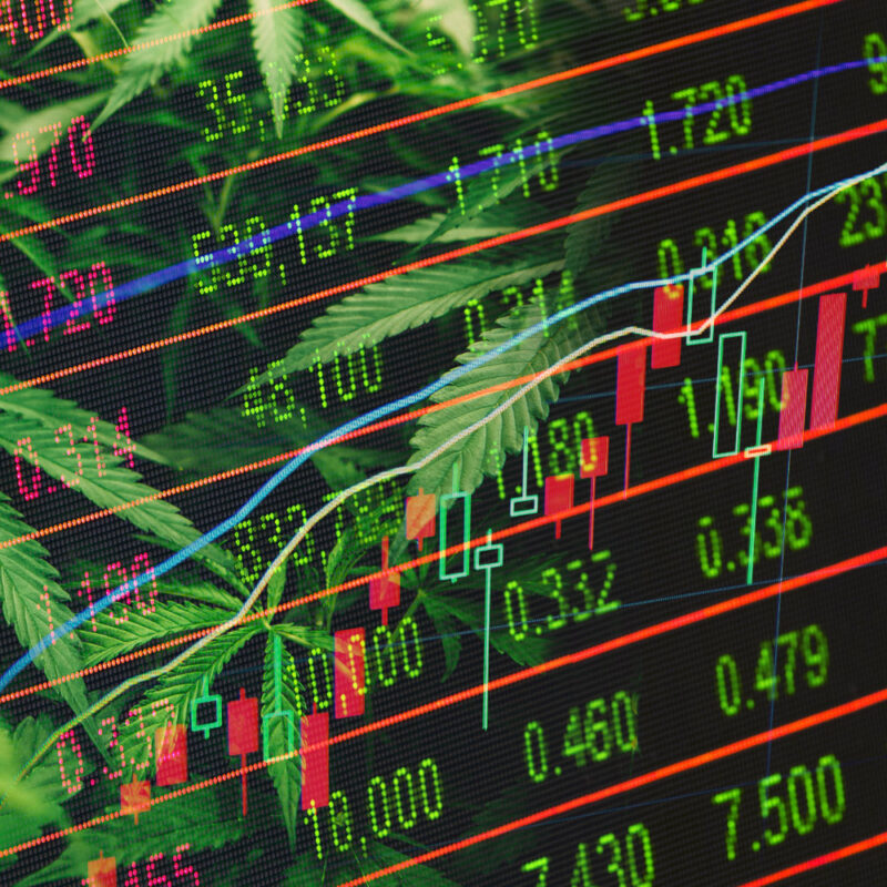 vibe-by-california-cannabis-dispensary-publically-held-cannabis-company