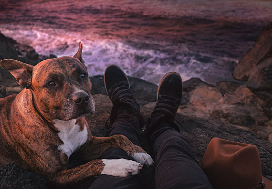 10-ways-indica-cannabis-helps-you-relax-vibe-dispensary-vibe-by-california-indica-strain-cannabis