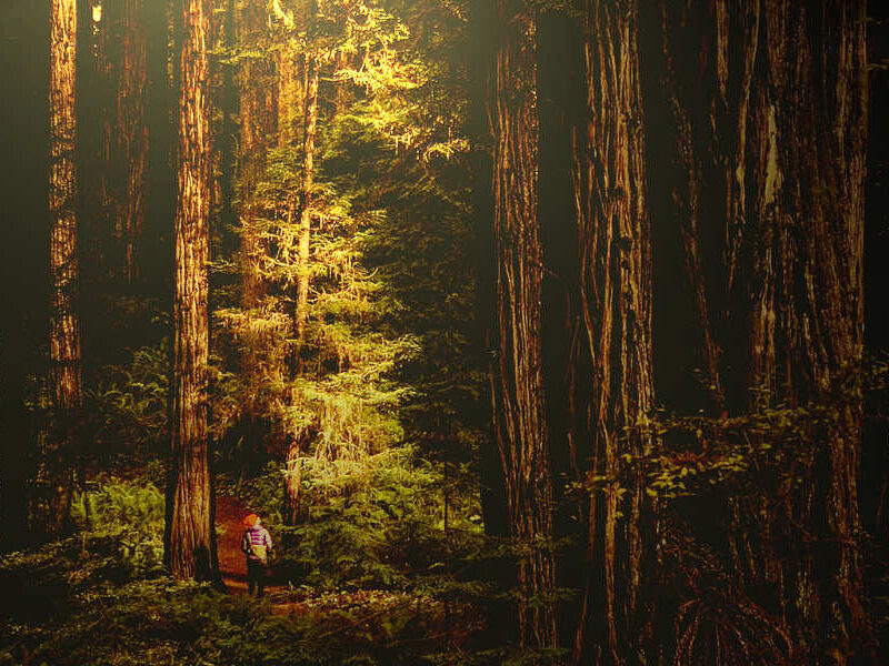 vibe-ukiah-grand-opening-Nov-4th