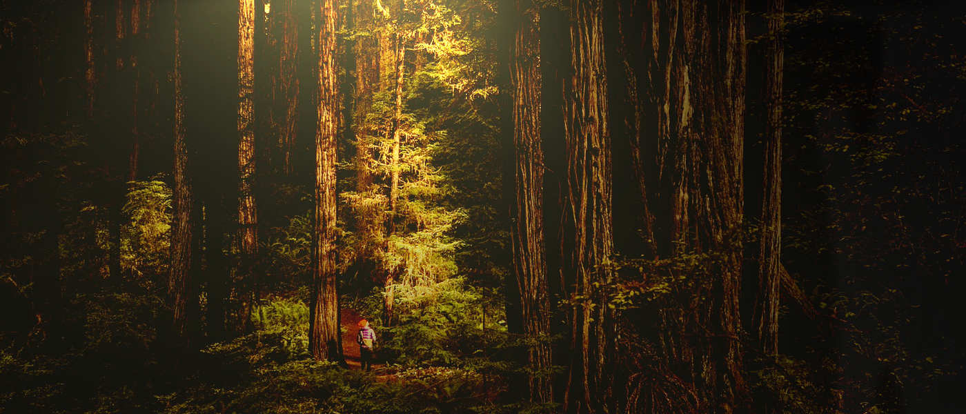 Trailblazing Adventures: Best Hiking in Ukiah Near Vibe By California