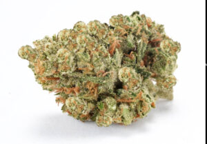 Vibe by California: Dispensary Near Me for Cannabis Deals 11 runtz-cannabis-strain-flower-bud-vibe-dispensary-hype-cannabis-co