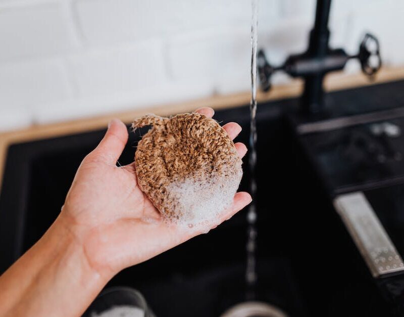 eco-friendly-cannabis-sustainable-growing-practices-and-their-impact-on-the-industry_featured_photo