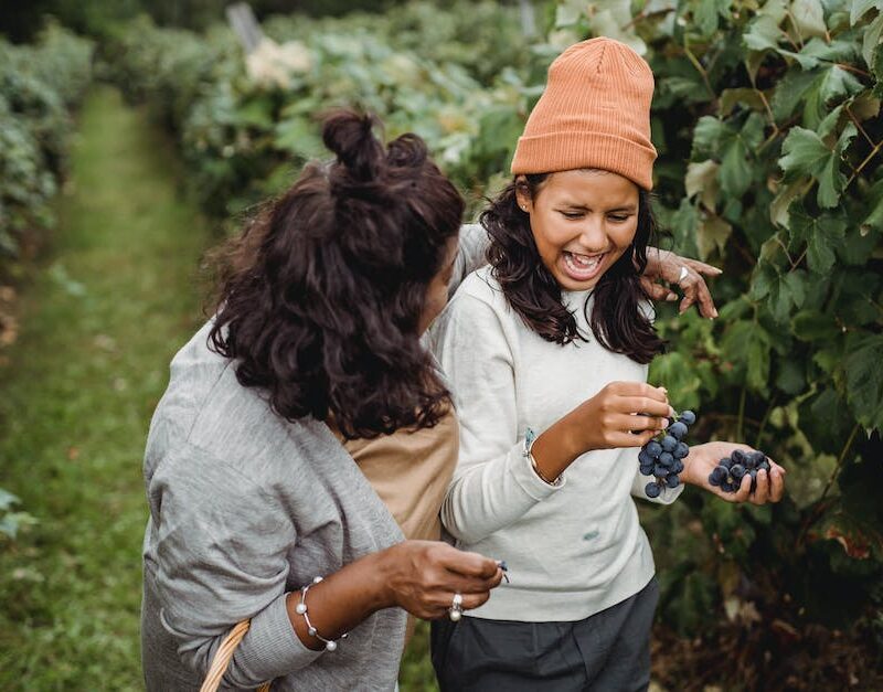 from-farm-to-table-a-guide-to-californias-cannabis-dining-experiences-and-farm-tours_featured_photo