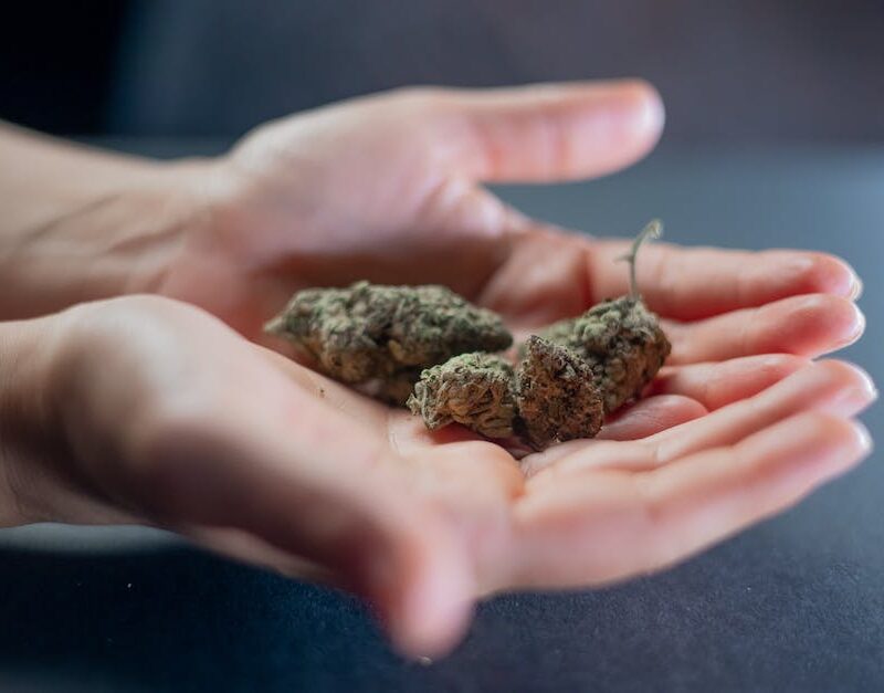 from-haight-ashbury-to-hemp-farms-tracing-the-spread-of-cannabis-culture-across-the-usa_featured_photo