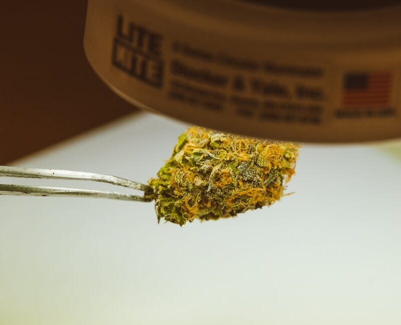 from-medicine-to-recreation-the-changing-faces-of-cannabis-use-throughout-history_featured_photo