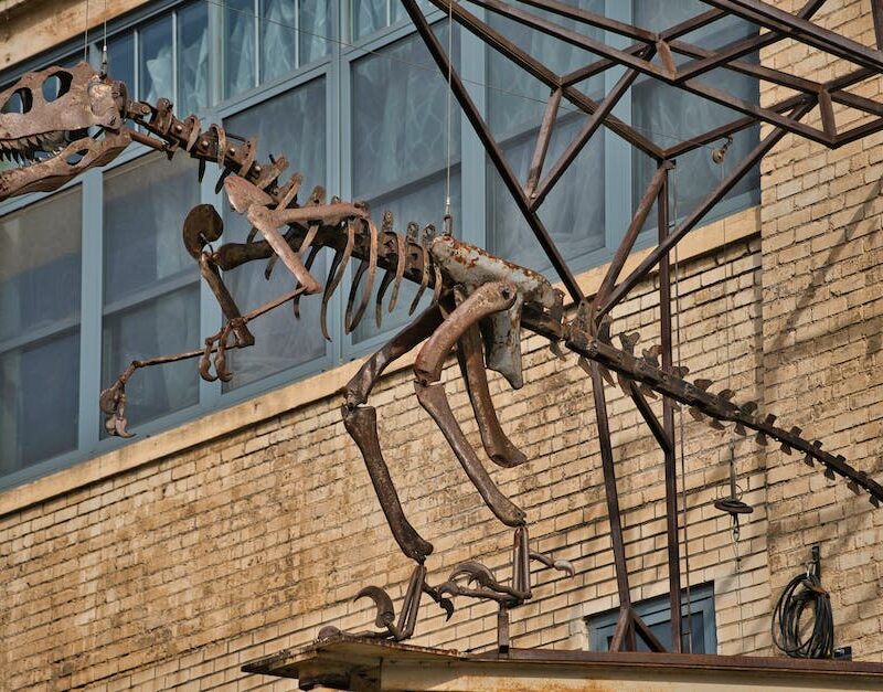 the-evolution-of-marijuana-laws-a-brief-history-and-whats-on-the-horizon_featured_photo