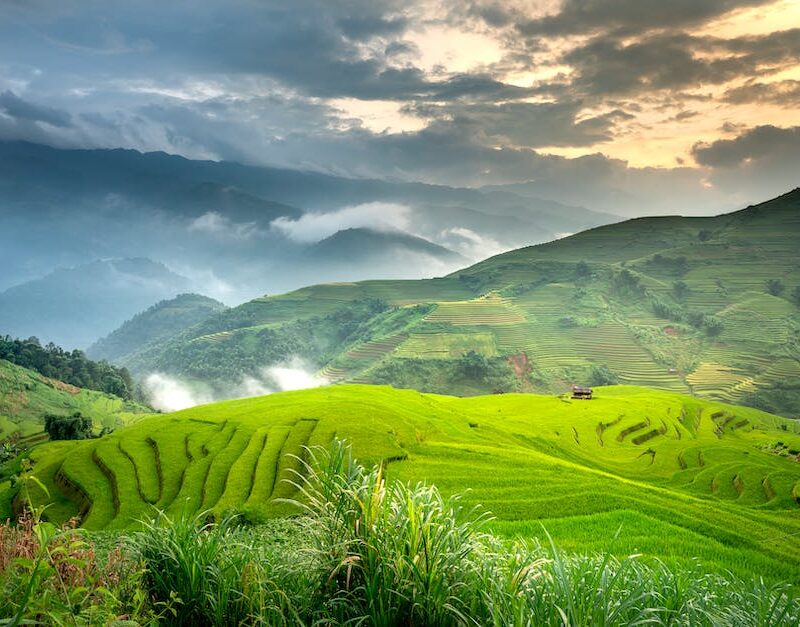 the-green-rush-chronicling-the-rise-of-californias-booming-cannabis-industry_featured_photo