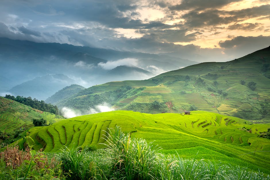 The Green Rush: Chronicling The Rise Of California’s Booming Cannabis Industry