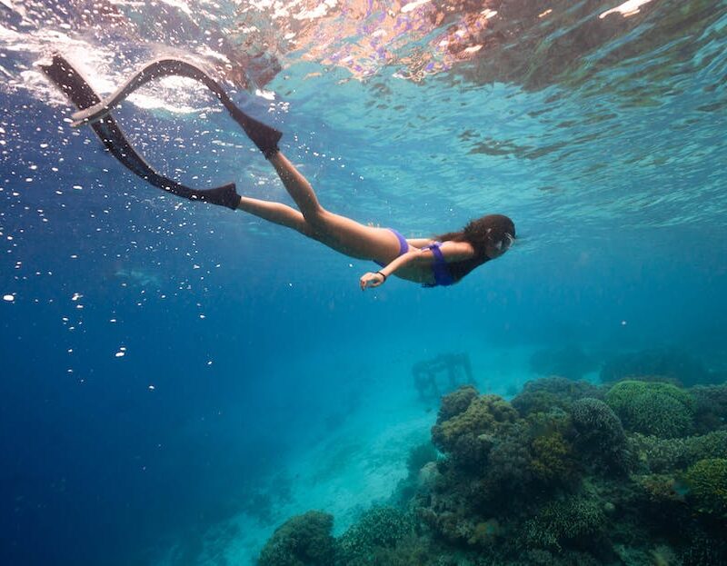 the-tantalizing-terpenes-a-deep-dive-into-the-aromas-and-flavors-of-premium-cannabis_featured_photo