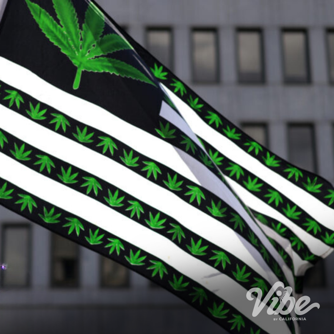 Unraveling the Multifaceted Impacts of Cannabis Legalization: A Closer Look at Opportunities and Innovations