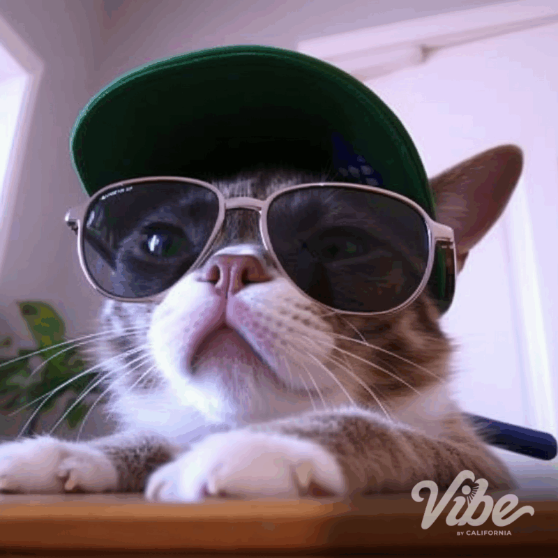 California's Cannabis Shift: The Power of Vibe.