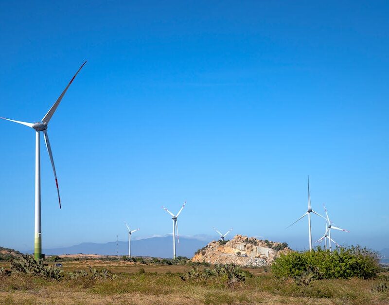 the-untapped-potential-of-hemp-a-sustainable-resource-for-a-greener-tomorrow_featured_photo-1