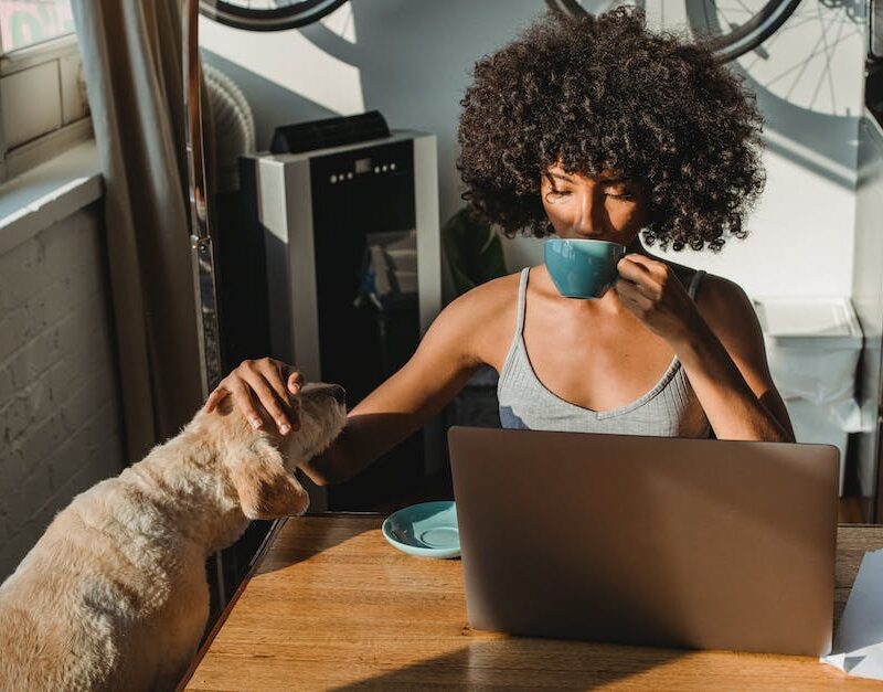 cannabis-and-pets-what-every-pet-owner-should-know_featured_photo