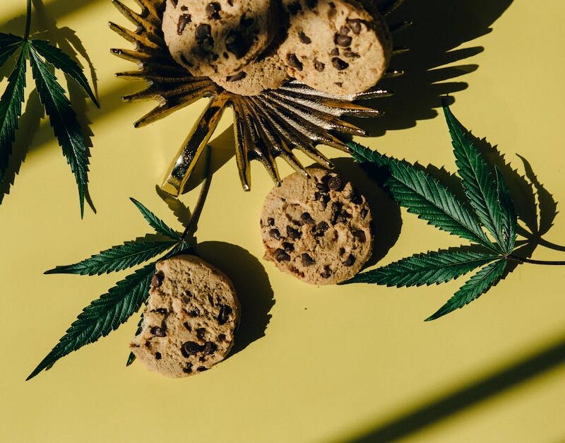 dank-edibles-creative-cannabis-cookie-recipes-to-try_featured_photo