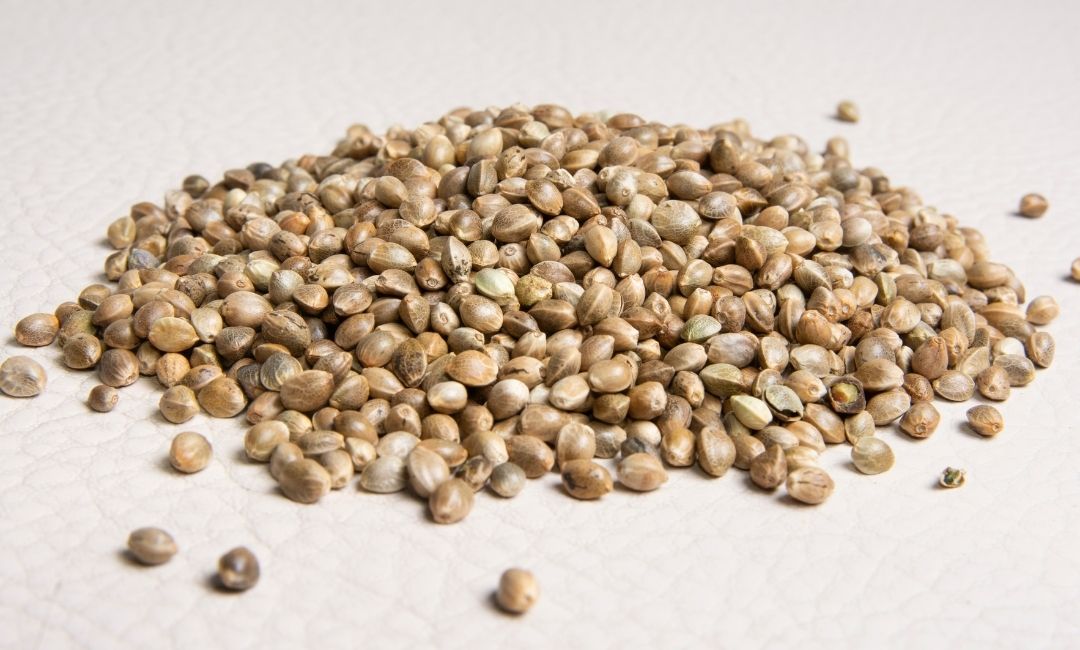 Top California Cannabis Seed Banks: A Comprehensive Guide to Seed Breeders